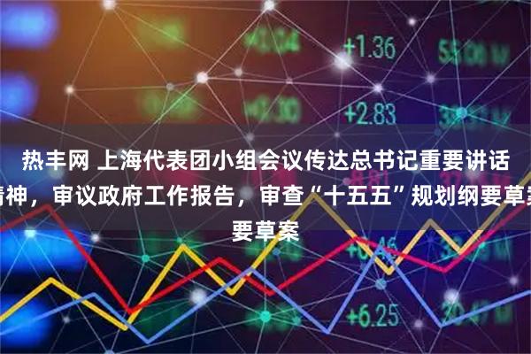 热丰网 上海代表团小组会议传达总书记重要讲话精神，审议政府工作报告，审查“十五五”规划纲要草案